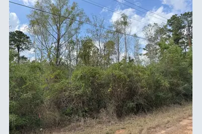 Lot 233 Makaha Drive, Bastrop, TX 78602 - Photo 14