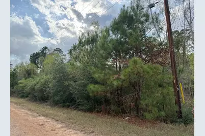 Lot 233 Makaha Drive, Bastrop, TX 78602 - Photo 1