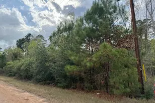 Lot 233 Makaha Dr, Bastrop, TX 78602 - Photo 1