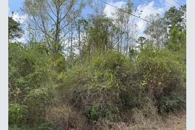 Lot 233 Makaha Drive, Bastrop, TX 78602 - Photo 8