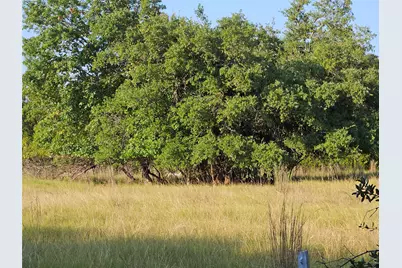 2217 Downing Lane, Leander, TX 78641 - Photo 8