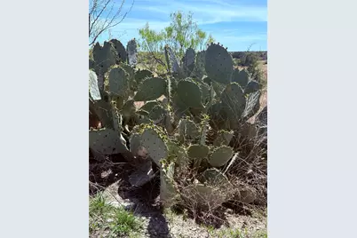 198 Cherry Laurel Lane, Lampasas, TX 76550 - Photo 6