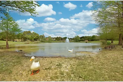 126 Medina Hills Court, Austin, TX 78737 - Photo 28