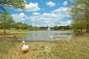 126 Medina Hills Ct, Austin, TX 78737 - Photo 28