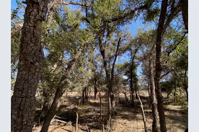 Tbd Fayt Court, Georgetown, TX 78628 - Photo 8