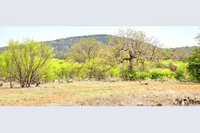 Tbd County Road 110 Road, Burnet, TX 78611 - Photo 8