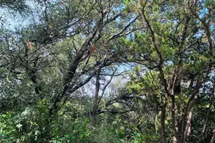 10412 Double Spur Loop, Austin, TX 78759 - Photo 22