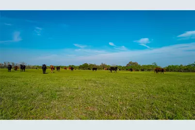 Tbd County Road 404, Floresville, TX 78114 - Photo 26