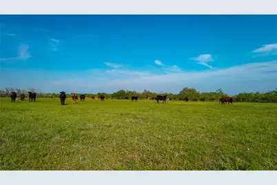 Tbd County Road 404, Floresville, TX 78114 - Photo 26