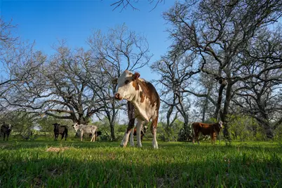 Tbd County Road 404, Floresville, TX 78114 - Photo 14