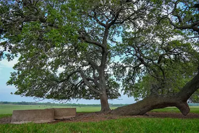 Tbd County Road 404, Floresville, TX 78114 - Photo 32