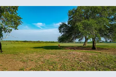 Tbd County Road 404, Floresville, TX 78114 - Photo 22