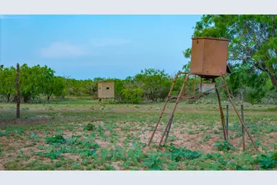 Tbd County Road 404, Floresville, TX 78114 - Photo 12