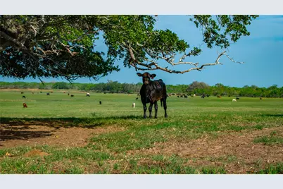 Tbd County Road 404, Floresville, TX 78114 - Photo 4
