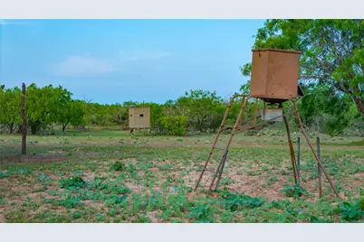 Tbd County Road 404, Floresville, TX 78114 - Photo 12