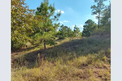 909 Hana Court Street, Bastrop, TX 78602 - Photo 2