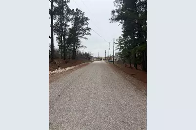 105 Waialua Court, Bastrop, TX 78602 - Photo 2