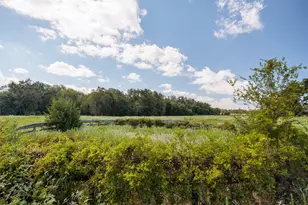 161 Co Rd 441, Thorndale, TX 76577 - Photo 26