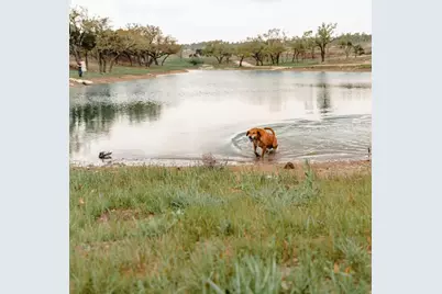 3300 Fm 165 - Lot 4, Dripping Springs, TX 78620 - Photo 14