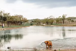 3300 Fm 165 - Lot 4, Dripping Springs, TX 78620 - Photo 14