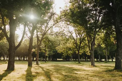 8323 E State Highway 29, Georgetown, TX 78626 - Photo 34