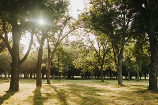 8323 E State Hwy 29, Georgetown, TX 78626 - Photo 34