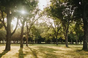 8323 E State Hwy 29, Georgetown, TX 78626 - Photo 34