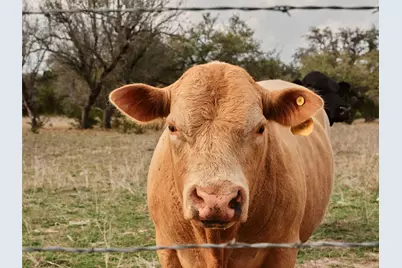 600 County Road 257, Liberty Hill, TX 78642 - Photo 8