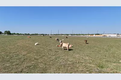 111 Lund Road, Elgin, TX 78621 - Photo 12