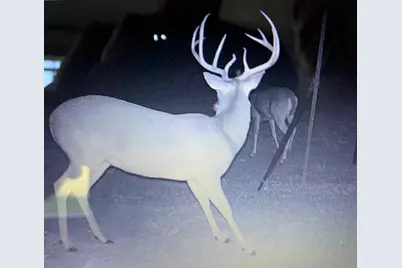 4025 County Road 284 #46X, Harwood, TX 78632 - Photo 6