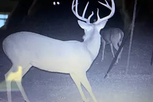 4025 Co Rd 284, Harwood, TX 78632 - Photo 6