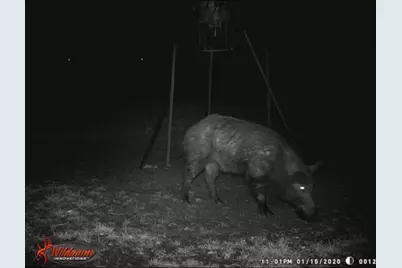 4025 County Road 284 #46X, Harwood, TX 78632 - Photo 8