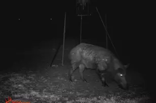 4025 Co Rd 284, Harwood, TX 78632 - Photo 8