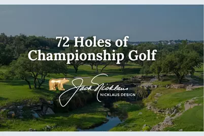 3 Crabapple Court, The Hills, TX 78738 - Photo 40