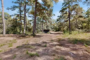 158 Fealy Rd, Red Rock, TX 78662 - Photo 38
