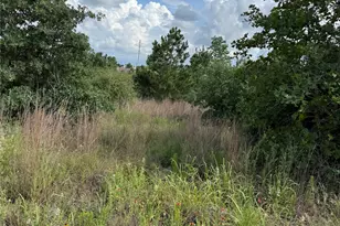 Lots 88 89 90 Pintail Ln, Bastrop, TX 78602 - Photo 1