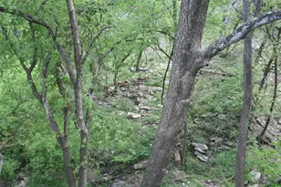 7 Hull Circle Dr, Austin, TX 78746 - Photo 20