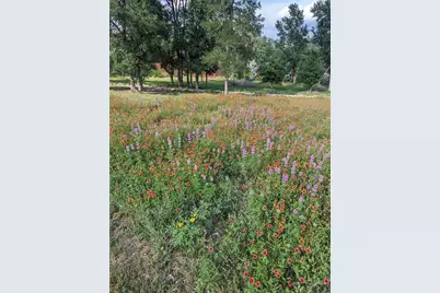 9720 Anchusa Trail, Austin, TX 78736 - Photo 38