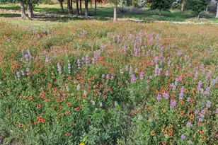 9720 Anchusa Trail, Austin, TX 78736 - Photo 38