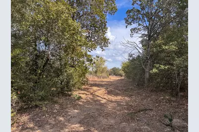 Tbd Walter Hoffman Road, Bastrop, TX 78602 - Photo 4