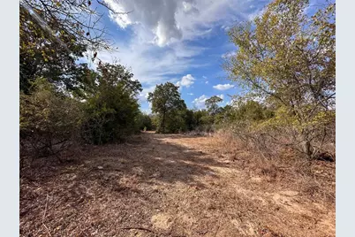 Tbd Walter Hoffman Road, Bastrop, TX 78602 - Photo 12