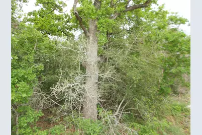 441 Tom Tom, Smithville, TX 78957 - Photo 6