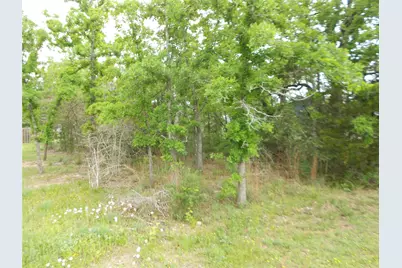 441 Tom Tom, Smithville, TX 78957 - Photo 2