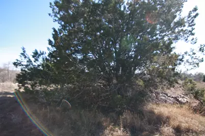 105 Daisy Lane, Dripping Springs, TX 78620 - Photo 14