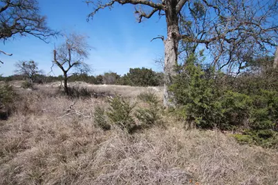 105 Daisy Lane, Dripping Springs, TX 78620 - Photo 8