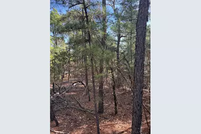 106 Llio Court, Bastrop, TX 78602 - Photo 2