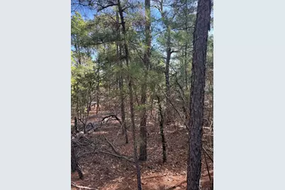 106 Llio Court, Bastrop, TX 78602 - Photo 2