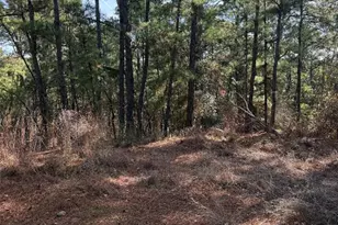 106 Llio Ct, Bastrop, TX 78602 - Photo 1