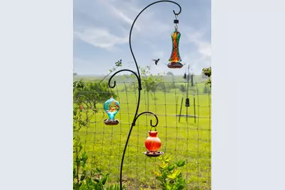 1662 County Road 465, Coupland, TX 78615 - Photo 2