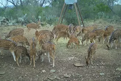 [Address not provided], Barksdale, TX 78801 - Photo 2